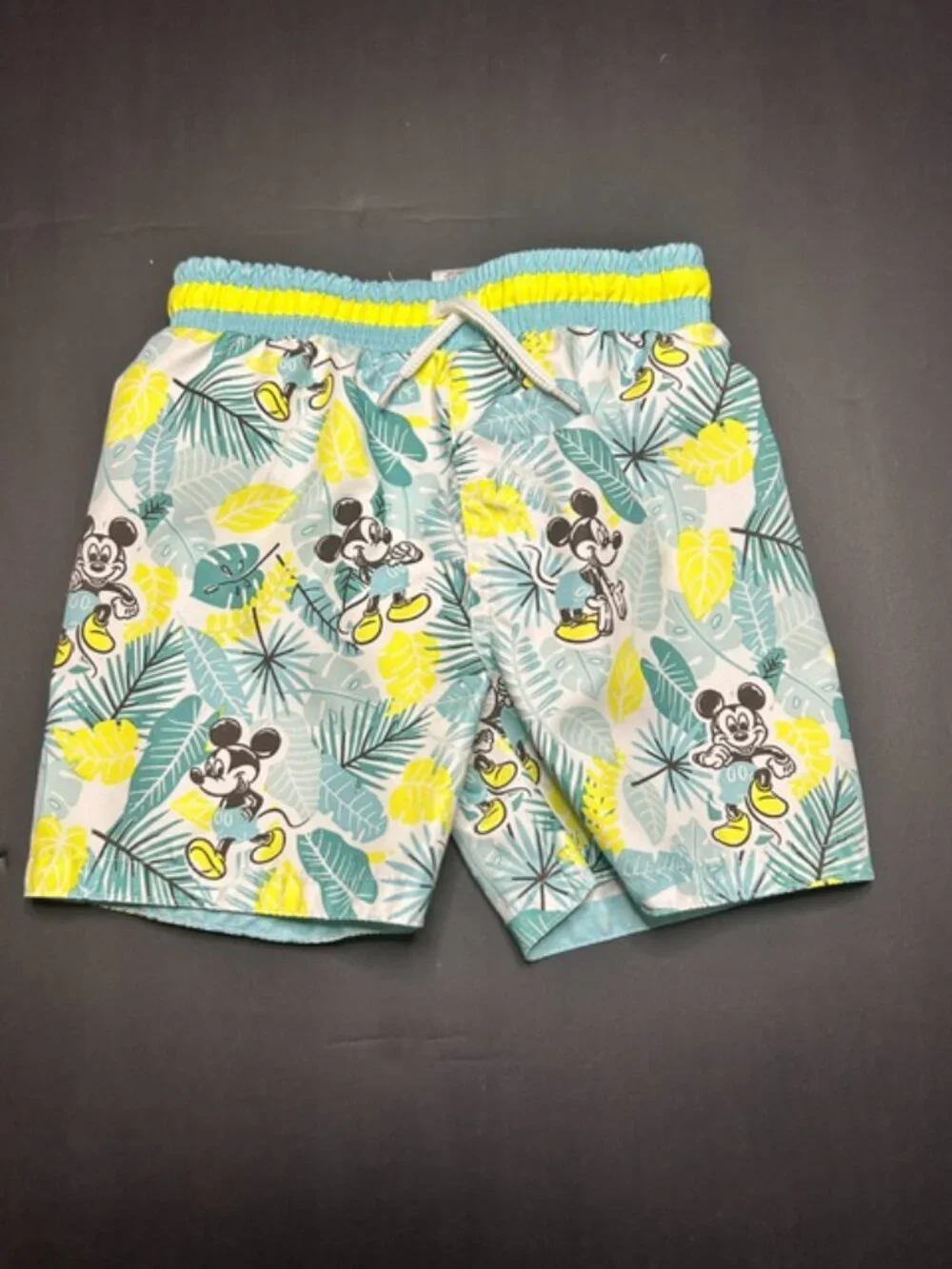 Disney Junior Mickey Mouse Boy's Swim Suit 3T